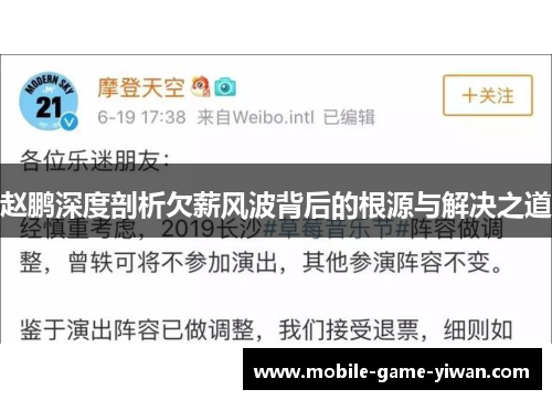 赵鹏深度剖析欠薪风波背后的根源与解决之道
