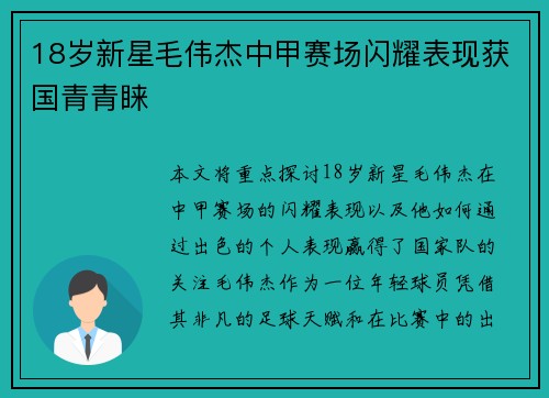 18岁新星毛伟杰中甲赛场闪耀表现获国青青睐